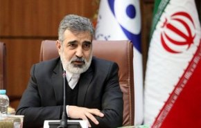 كمالوندي: إيران لها الحق في امتلاك التكنولوجيا النووية السلمية