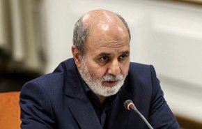 أحمديان: نتائج المفاوضات غير قابلة للتنبؤ وتخضع لسلوك واشنطن