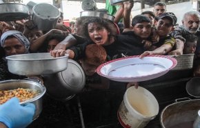 منظمة دولية تطلق نداءً لوقف النار في غزة وتحذر من كارثة إنسانية