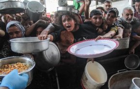 حماس ترفض خطة ترامب وتؤكد أن غزة ليست عقارا للبيع
