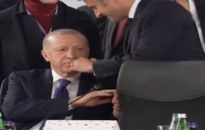 شاهد.. 