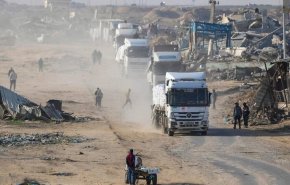 محامون لأجل فلسطين: عناصر 