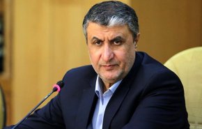 اسلامی: مسیر پیشرفت هسته‌ای را با قدرت ادامه می‌دهیم