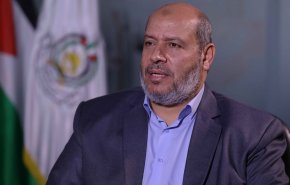 الحية: لن يستمر أي حل لا يضمن وقفاً للنار وانسحاباً كاملاً
