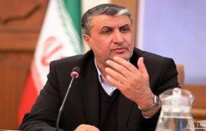 اسلامی: تسلیم فشارهای سیاسی بی‌قاعده نمی‌شویم