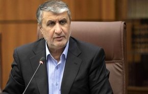 اسلامی: نصب رینگ دوم راکتور بوشهر مطابق برنامه انجام شد