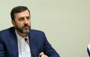 غریب‌آبادی: موجودیت رژیم صهیونیستی بر مبنای ترور و تجاوز شکل گرفته است