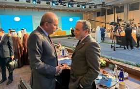 وزير الخارجية الإيراني يلتقي نظرائه الأردني والعراقي والمصري في إسطنبول
