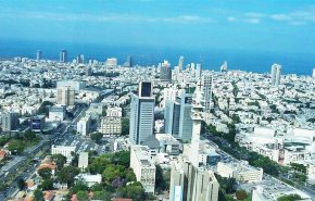 لأول مرة.. الذباب المصري يغزو 'اسرائيل' ويثير حالة من الرعب +صور