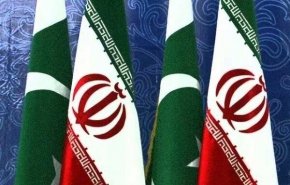 وزير الداخلية الباكستاني يصل إلى طهران لتعزيز التنسيق حول زيارة الأربعين