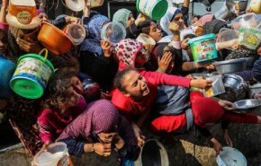 عدد شهداء البحث عن الغذاء، يتجاوز أعداد شهداء القصف الإسرائيلي