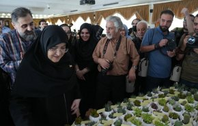 المتحدثة الإيرانية تهدي الصبار للصحفيين.. فما السبب؟!