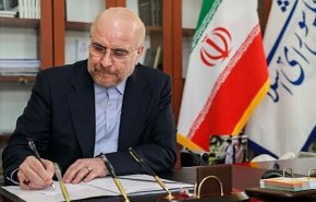 قاليباف: الوقت يوشك أن ينفد لكبح جماح الكلب الصهيوني المسعور