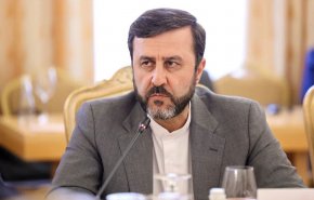 غريب آبادي يرد على انحياز مسؤول دولي لكيان الاحتلال الصهيوني