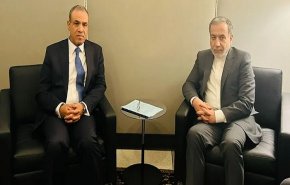 وزير الخارجية المصري يستضيف عراقجي وغروسي اليوم الثلاثاء