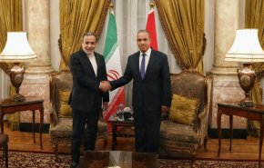 عراقجي: ايران على استعداد لصياغة دليل للتعاون مع الوكالة الدولية للطاقة الذرية
