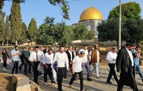 مستوطنون يقتحمون الأقصى ويؤدون طقوسا تلمودية تحت حراسة الاحتلال