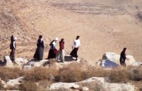 الاستيطان الناعم، مؤامرة استيطانية خطيرة تنفذها فتيات!