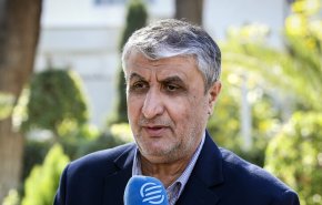 إسلامي: معايير الوكالة الدولیة للطاقة الذریة مزدوجة