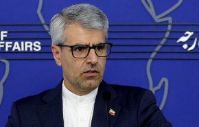 بقائي يؤكد حق الدول في تطوير واستخدام الطاقة النووية السلمية