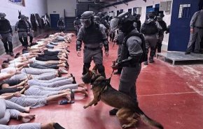 استشهاد 75 أسيرا فلسطينيا بسجون الاحتلال منذ طوفان الأقصى