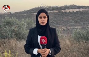 الزيتون شاهد على الصمود الفلسطيني في مواجهة الاستيطان