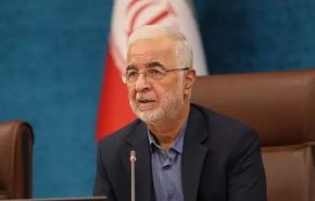 وزير الداخلية الایرانی يقترح إلغاء التأشيرات عن مواطني 