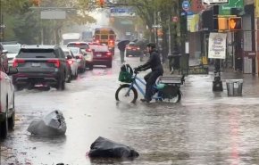 سیل در نیویورک قربانی گرفت