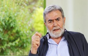 غزة قاتلت تحالفا دوليا بقيادة أمريكا وخرجت من المعركة وسلاحها بيدها