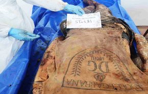 آثار خياطة وشقوق ممتدة على أجساد شهداء سلمها الاحتلال