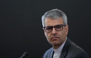 بقائی: آمریکا از همان آغاز در جنایت تجاوز علیه ایران مشارکت کامل داشت