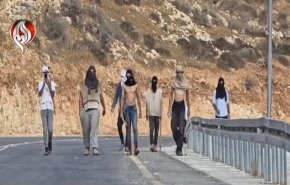 روزنامه‌نگاران و امدادگران در تیررس وحشی‌گری شهرک‌نشینان صهیونیست + فیلم