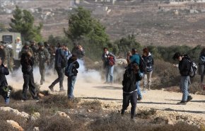 766 اعتداء لمستوطنين في الضفة الغربية خلال أكتوبر الماضي
