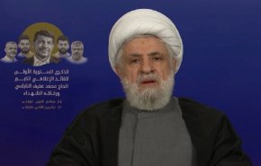 الشيخ نعيم قاسم: الوصاية الأميركية على لبنان خطر كبير جدًا + فيديو