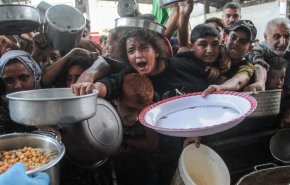 الغذاء العالمي: عائلات غزة بلا نقود لشراء الأساسيات