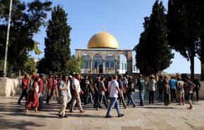 تصعيد صهيوني.. مستوطنون يقتحمون الأقصى تحت حماية الاحتلال