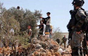 تشدید تروریسم صهیونیستی در کرانه باختری؛کشاورزان و حتی کودکان هم در امان نماندند + فیلم