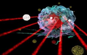 تأثير الموجات فوق الصوتية على السلوك والمزاج