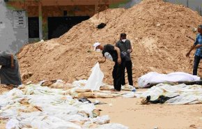 12 منظمة حقوقية للإحتلال: 2025 العام الأكثر فتكا بفلسطين منذ 1967