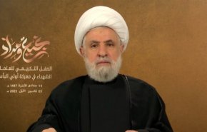 الشيخ قاسم: لسنا معنيين بخدّام 'إسرائيل' 