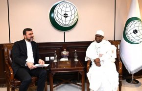 غريب آبادي يلتقي أمين عام منظمة التعاون الإسلامي