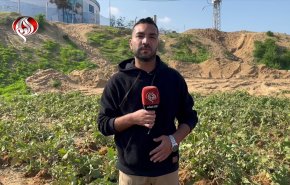 مزارعون غزيون يتحدون القصف لإحياء أراضٍ زراعية مدمرة