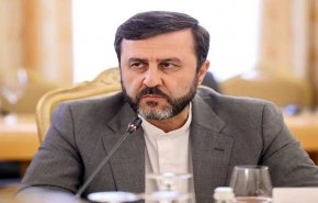 غريب آبادي: القضية النووية مجرد ذريعة 