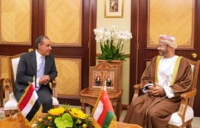 وزرای خارجه عمان و مصر درباره تحولات منطقه گفت‌وگو کردند