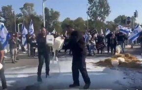 اعتراض دامداران در سرزمین های اشغالی / بحران لبنیات به خیابان‌ها کشیده شد+ فیلم