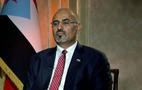 هروب رئيس المجلس الانتقالي باليمن وضربات استباقية للتحالف في عدن والجنوب