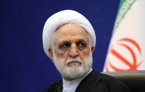 اژه‌ای: مجازات عناصر آشوبگر و اغتشاشگر، قاطعانه و بدون هیچگونه ارفاق قانونی خواهد بود