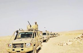 وزير داخلية العراق والحشد الشعبي يؤكدان تأمين الحدود مع سوريا بالكامل