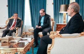 دیدار لاریجانی و معاون مشاور امنیت ملی هند