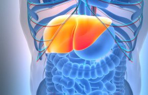 زيت السمك.. سر الوقاية من أمراض الكبد الدهني